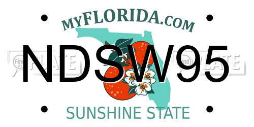 NDSW95 Florida License Plate