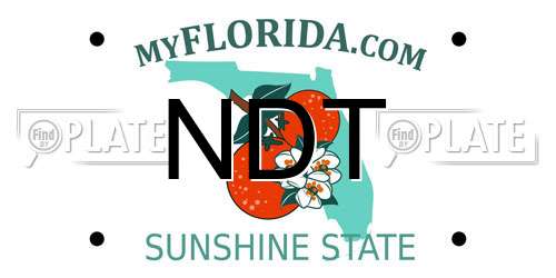 NDT Florida License Plate