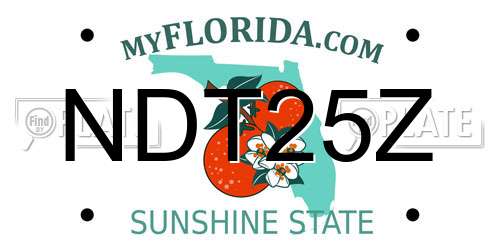 NDT25Z Florida License Plate