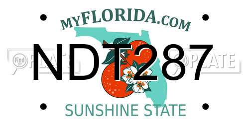 NDT287 Florida License Plate