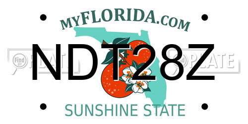 NDT28Z Florida License Plate