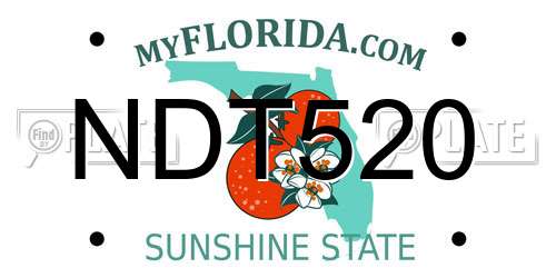 NDT520 Florida License Plate