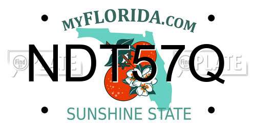 NDT57Q Florida License Plate