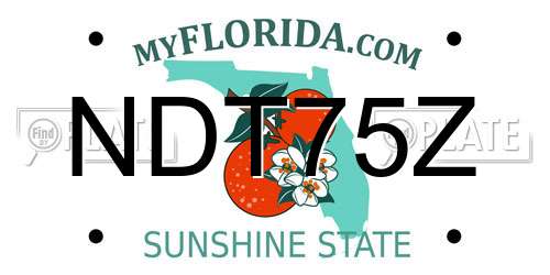 NDT75Z Florida License Plate