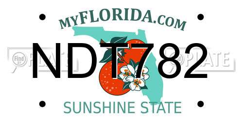 NDT782 Florida License Plate