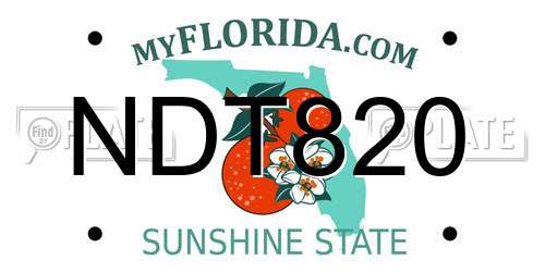 NDT820 Florida License Plate
