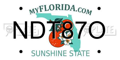 NDT87O Florida License Plate