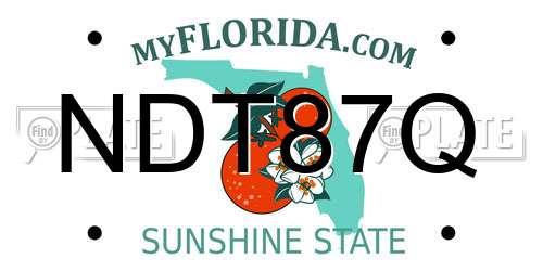NDT87Q Florida License Plate