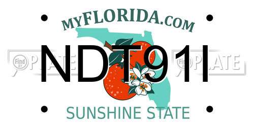 NDT91I Florida License Plate