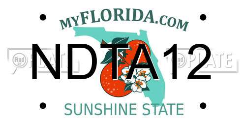 NDTA12 Florida License Plate