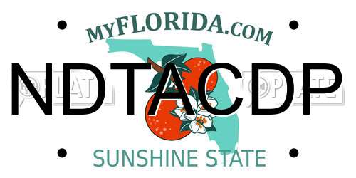 NDTACDP Florida License Plate