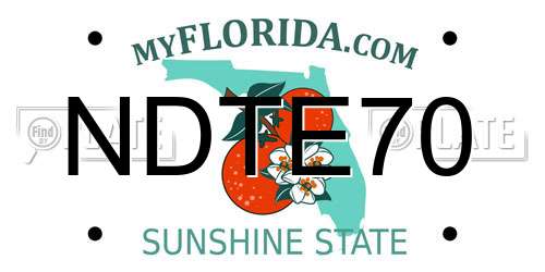 NDTE70 Florida License Plate