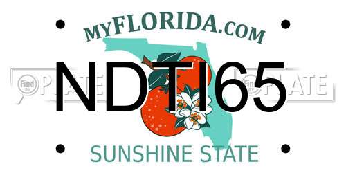 NDTI65 Florida License Plate