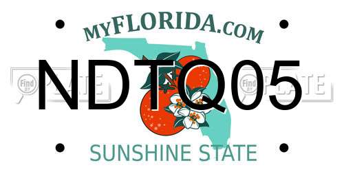 NDTQ05 Florida License Plate