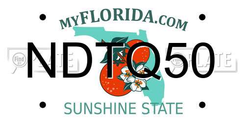 NDTQ50 Florida License Plate