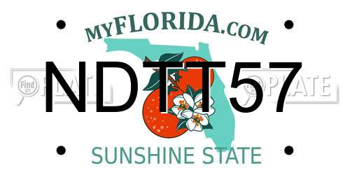 NDTT57 Florida License Plate