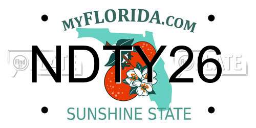 NDTY26 Florida License Plate