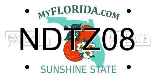 NDTZ08 Florida License Plate