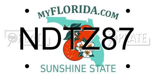 NDTZ87 Florida License Plate