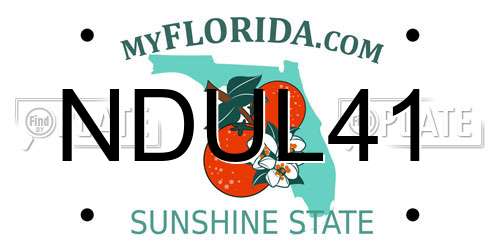NDUL41 Florida License Plate