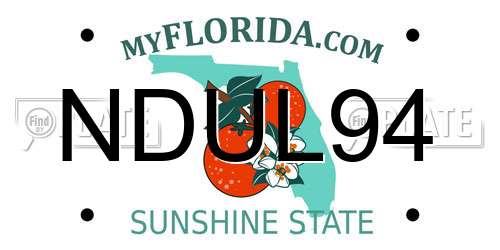 NDUL94 Florida License Plate