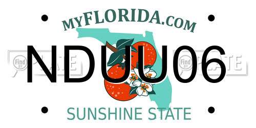 NDUU06 Florida License Plate
