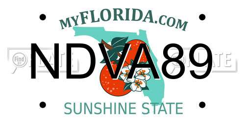 NDVA89 Florida License Plate