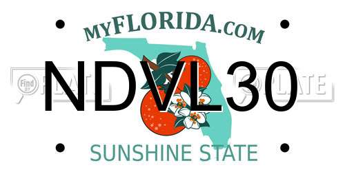 NDVL30 Florida License Plate