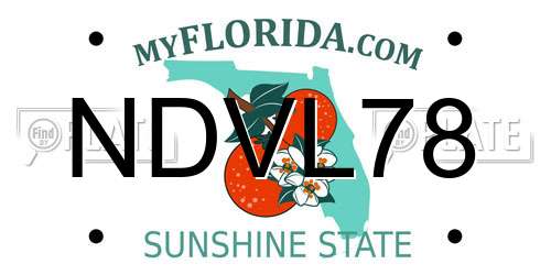NDVL78 Florida License Plate