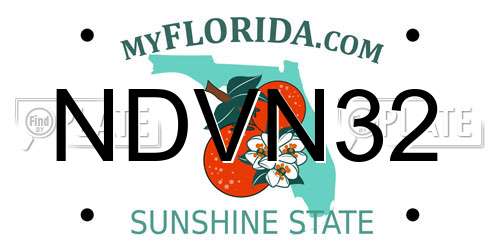 NDVN32 Florida License Plate