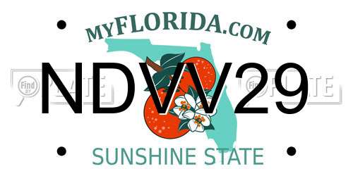 NDVV29 Florida License Plate