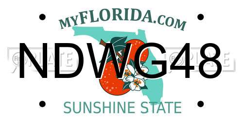 NDWG48 Florida License Plate