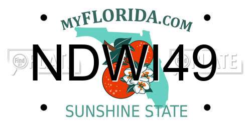NDWI49 Florida License Plate