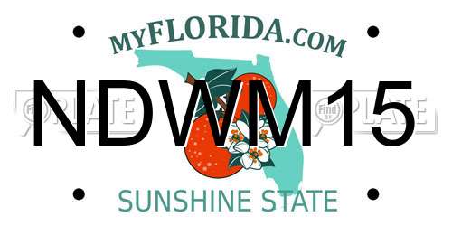NDWM15 Florida License Plate