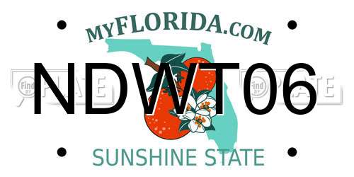 NDWT06 Florida License Plate