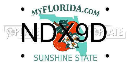 NDX9D Florida License Plate