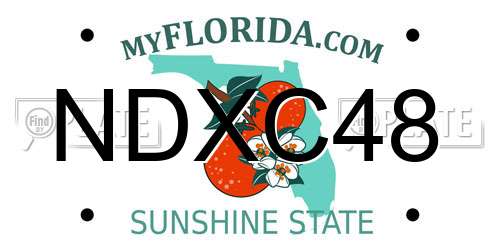 NDXC48 Florida License Plate