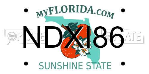 NDXI86 Florida License Plate