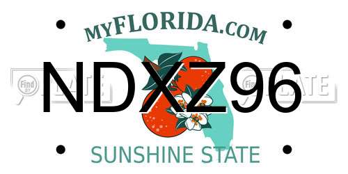 NDXZ96 Florida License Plate