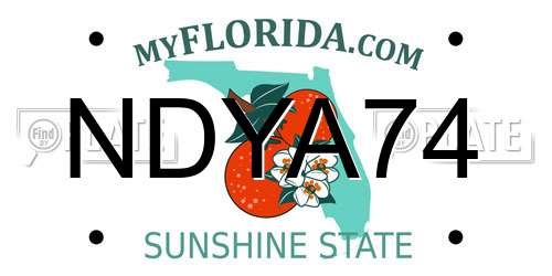 NDYA74 Florida License Plate