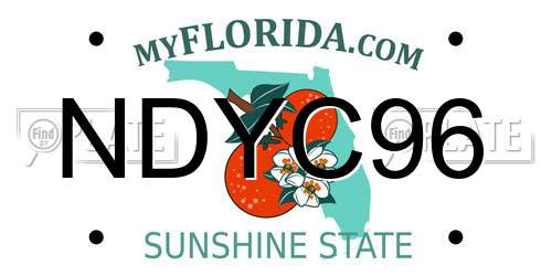 NDYC96 Florida License Plate