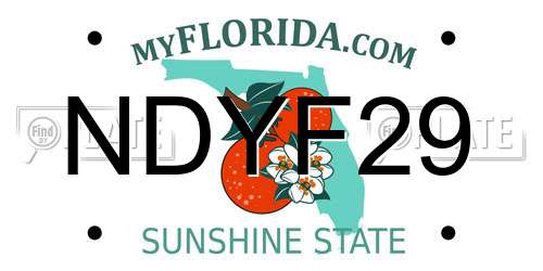 NDYF29 Florida License Plate