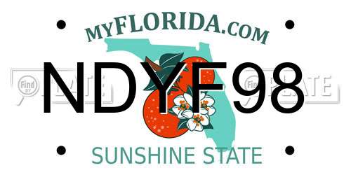 NDYF98 Florida License Plate