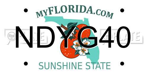 NDYG40 Florida License Plate
