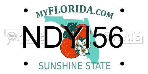 NDYI56 Florida License Plate