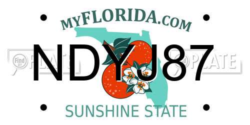 NDYJ87 Florida License Plate