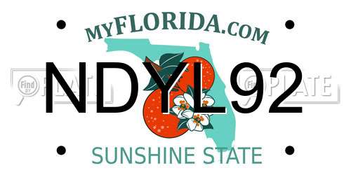 NDYL92 Florida License Plate