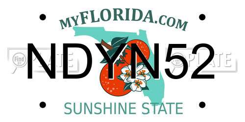 NDYN52 Florida License Plate