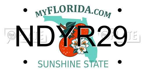 NDYR29 Florida License Plate