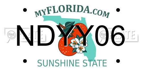 NDYY06 Florida License Plate